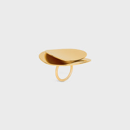 RING IN BRASS