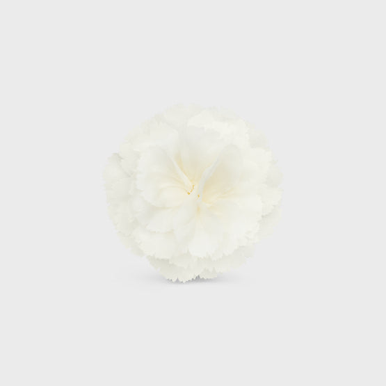 ŒILLET LAPEL PIN IN BRASS & STEEL & SILK