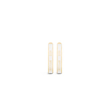 Women Earrings- D301 *Trunk Show*