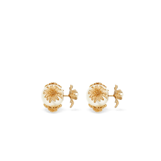Women Earrings- D301