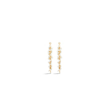 Women Earrings- D301