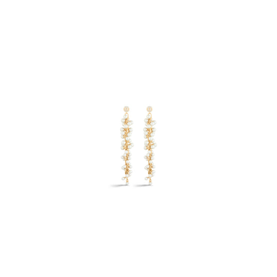 Women Earrings- D301