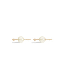 Women Earrings- D301 *Trunk Show*