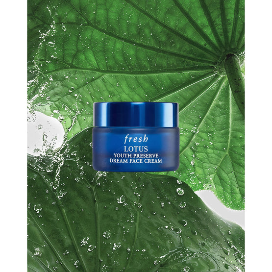 Fresh Lotus Yp Dream Face Cream - 15ml