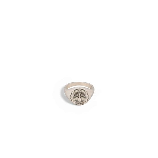 Women Ring - D24G