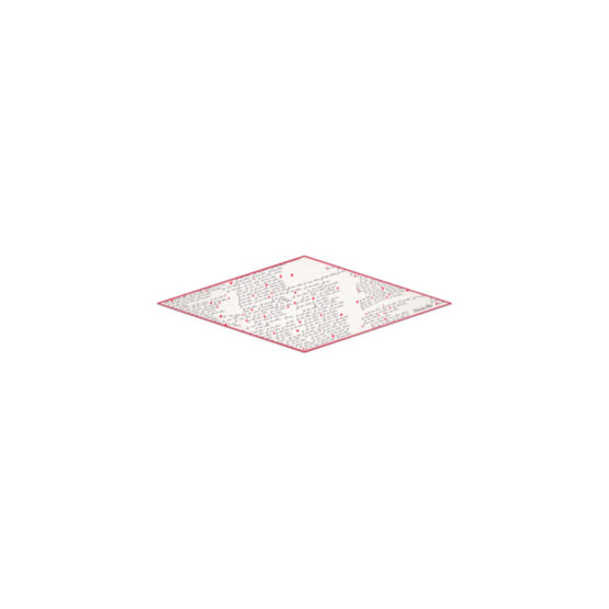 Women Scarf-Mitzah - C089 *Trunk Show*